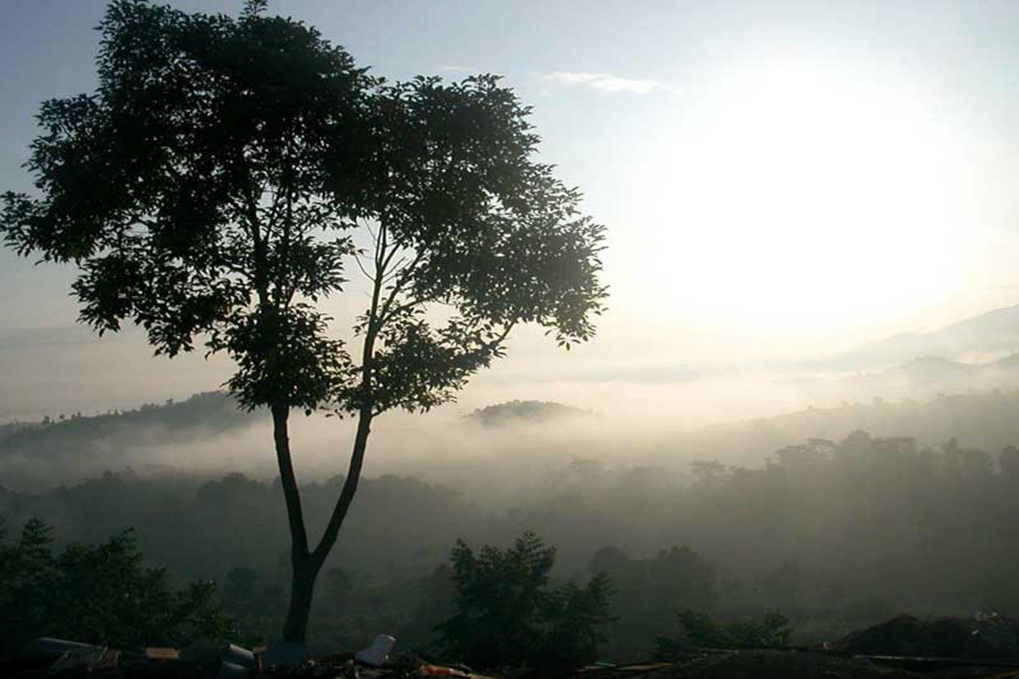 Chiang Rai Valley Resort @Doi Hom Fha Mae Chan Exterior foto